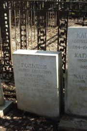 Гольдин Матвей Абрамович, Москва, Востряковское кладбище